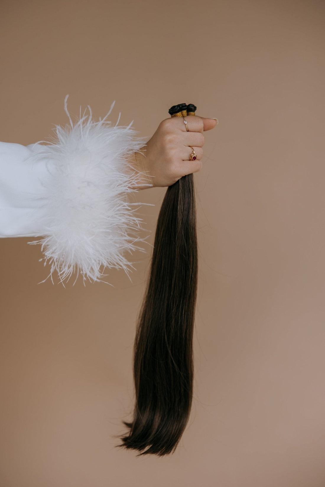HBIC - Noble Salon
